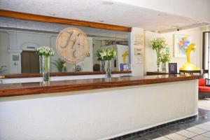 Fotografie z fotogalerie ubytování Hotel Eloisa v destinaci Puerto Vallarta + 37 fotografií
