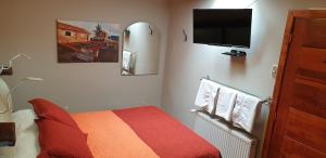 1 dormitorio con 1 cama y TV de pantalla plana en La Casa Guesthouse, en Punta Arenas