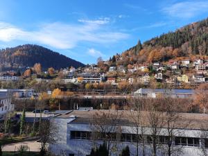 Gallery image of Apartment Wildbad in Bad Wildbad
