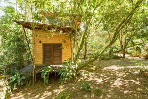 a small building in the middle of a forest at Oca Paraty Chalé Ecológico in Paraty