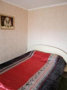 a bed with a red blanket and a picture on the wall at Квартира поблизу озера, паркова зона in Ternopilʼ