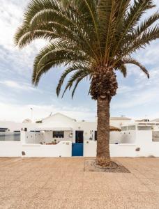 uma palmeira em frente a um edifício branco em Luxury Suite Sea Front III em Playa Honda