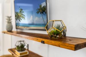 una estantería de madera con dos plantas en un jarrón de cristal en Alani Bay Premium Condos en Fort Lauderdale