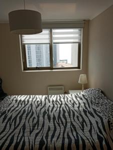 una camera con letto zebrato e finestra di Zafiro Reñaca a Viña del Mar Altre 13 foto