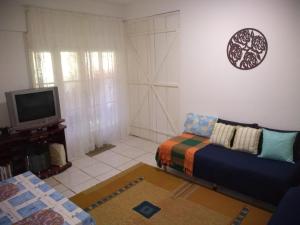 sala de estar con sofá y TV en Casa e suíte Recanto Zen, en Santo Antônio do Pinhal