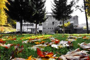 Zahrada ubytování SPA Hotel Grand Krupanj