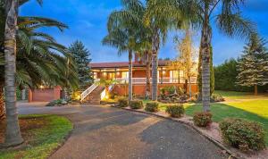 a house with palm trees in front of it at Will's Wonderland B&B & Farmstay in Olinda