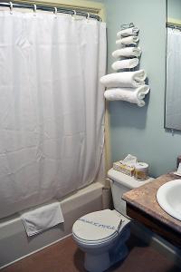 a bathroom with a white shower curtain and a toilet at Anchor Inn Hotel and Suites in Twillingate