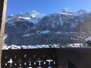 a bunch of birds sitting on a ledge with mountains at Chalet Brimborion in Champéry