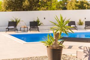 Zdjęcie z galerii obiektu Villa Pollux - Adriatic Luxury Villas w mieście Vrsi