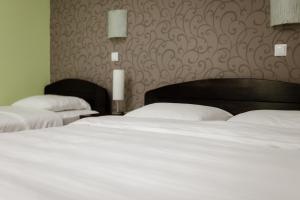 Postel nebo postele na pokoji v ubytování Hotel Drinska lasta