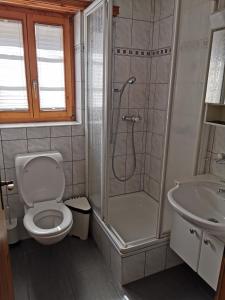 W łazience znajduje się prysznic, toaleta i umywalka. w obiekcie Imseng w mieście Wiler