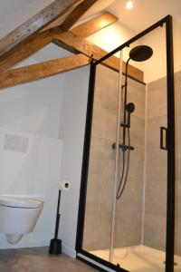 a shower in a bathroom with a toilet at Albecca 
