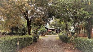Zahrada ubytování EiDI Homestay