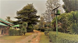 Zahrada ubytování EiDI Homestay