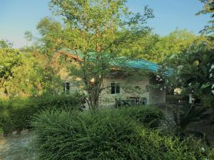 Zahrada ubytování EiDI Homestay
