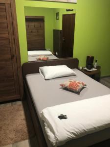 2 camas en una habitación con paredes verdes en Villa Zoki - soba dnevni najam, en Zagreb