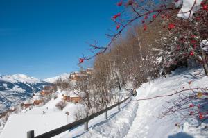 Greppons O 020 - MOUNTAIN apartment 5 pers talvel