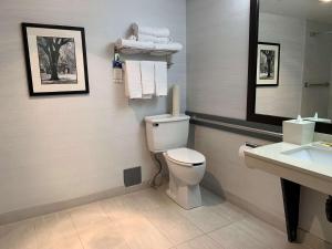La salle de bains est pourvue de toilettes et d'un lavabo. dans l'établissement Best Western Plus Regency Inn and Conference Centre, à Abbotsford