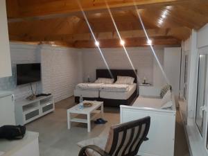 a living room with a bed and a table at Rita Apartman & Studio in Zrenjanin