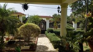 a garden filled with lots of plants and trees at Blue Lady Rooms B&B in Jarabacoa