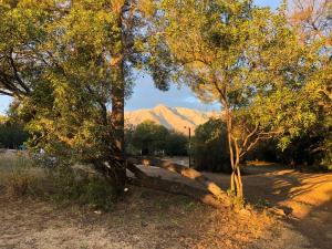 un árbol tirado en el suelo con montañas en el fondo en Pueblo Santo, Cabañas & Suites en San Javier
