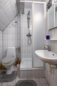uma casa de banho com um chuveiro, um WC e um lavatório. em Zajazd Czorsztyński em Maniowy