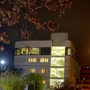 a building at night with its lights on w obiekcie Manolle Boutique Hotel w Bukareszcie