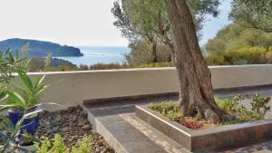 a tree sitting next to a wall with the ocean at Olive Bay Hilltop Apartments Ammouliani in Ammouliani