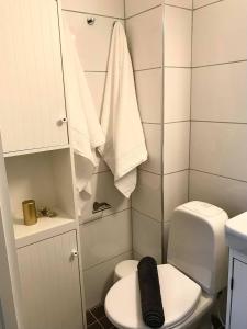 uma pequena casa de banho com WC e chuveiro em Kristiansund Apartments em Kristiansund