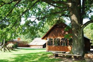 Kiduliai的住宿－Kaimo turizmo sodyba Kukarskė，木谷仓,有树和长凳