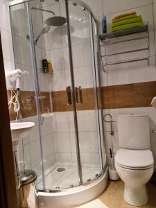 a bathroom with a shower with a toilet and a sink at AMBER APATRTAMENt #7 in Krakow