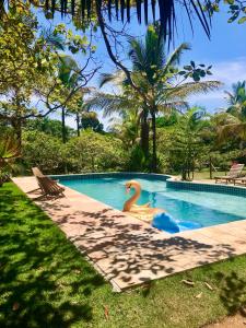 una piscina con un pato de goma en el medio en Bromélia Blue, en Itacaré