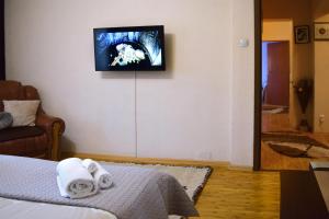 una camera con letto e TV a parete di Central Park Apartment a Turda