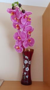 een paarse vaas gevuld met paarse bloemen op een tafel bij Gemütliche Wohnung in Langenargen in Langenargen
