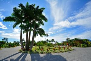 Κήπος έξω από το Arenal Manoa Resort & Hot Springs