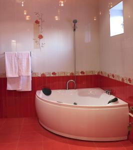 a bath tub in a bathroom with red tiles at Alexandrapol Palace Hotel in Gyumri