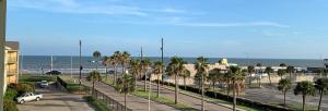 uma vista para uma rua com palmeiras e o oceano em Dockside Daze! em Galveston