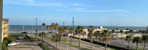 una vista di una strada con palme e l'oceano di Dockside Daze! a Galveston