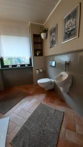 baño con urinario y aseo y ventana en Logis Am Park, en Dessau