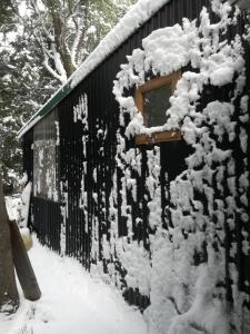un arbusto cubierto de nieve junto a un edificio en La Torre, en San Carlos de Bariloche 4 fotos más