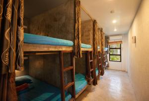Двухъярусная кровать или двухъярусные кровати в номере Sunlit Hostel