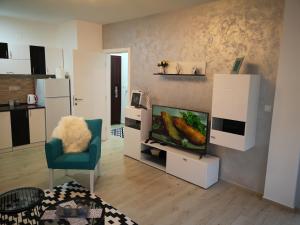Eldhús eða eldhúskrókur á Apartman SILVER