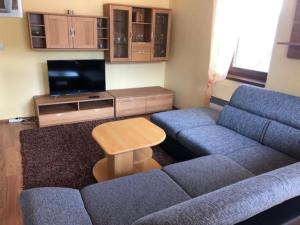 sala de estar con sofá azul y TV en R.Y. AD Kamzik en Donovaly