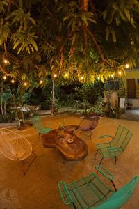 un gruppo di sedie e un tavolo con una pianta sopra di Paziflora Hostel -STARLINK- a Puerto Escondido