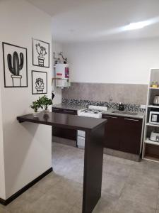 eine Küche mit einer Arbeitsplatte in einem Zimmer in der Unterkunft Costanera.VM in Villa María