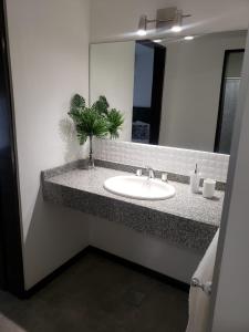 a bathroom with a sink and a mirror at Costanera.VM in Villa María