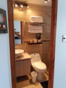 a bathroom with a toilet and a sink at Loft Terrazas de Cachagua in Zapallar