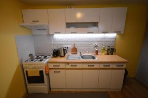 a small kitchen with a stove and a sink at Apartmán v prírode s vlastnou saunou in Martin