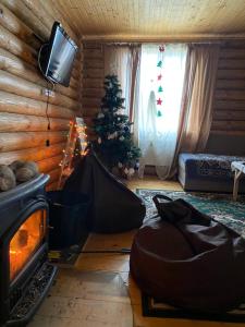 ラーゼシュチュナにあるCottage Markoのリビングルーム(暖炉、クリスマスツリー付)